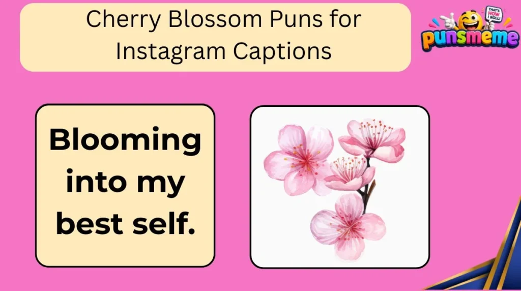 Cherry Blossom Puns for Instagram Captions