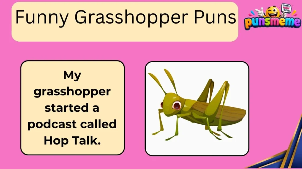 Funny Grasshopper Puns