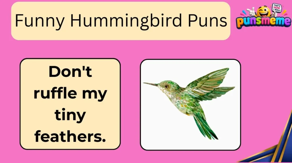 Funny Hummingbird Puns