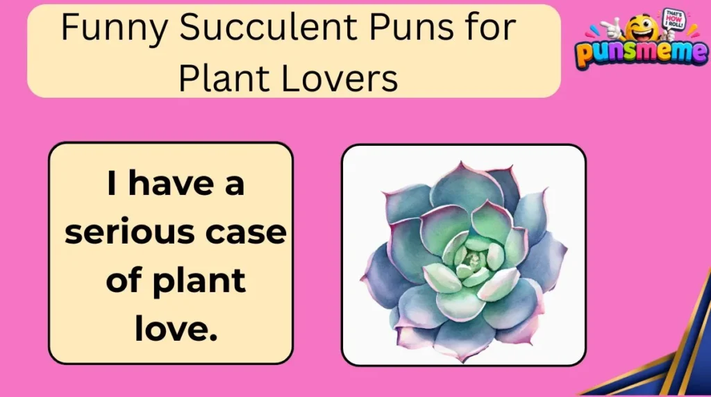 Funny Succulent Puns for Plant Lovers