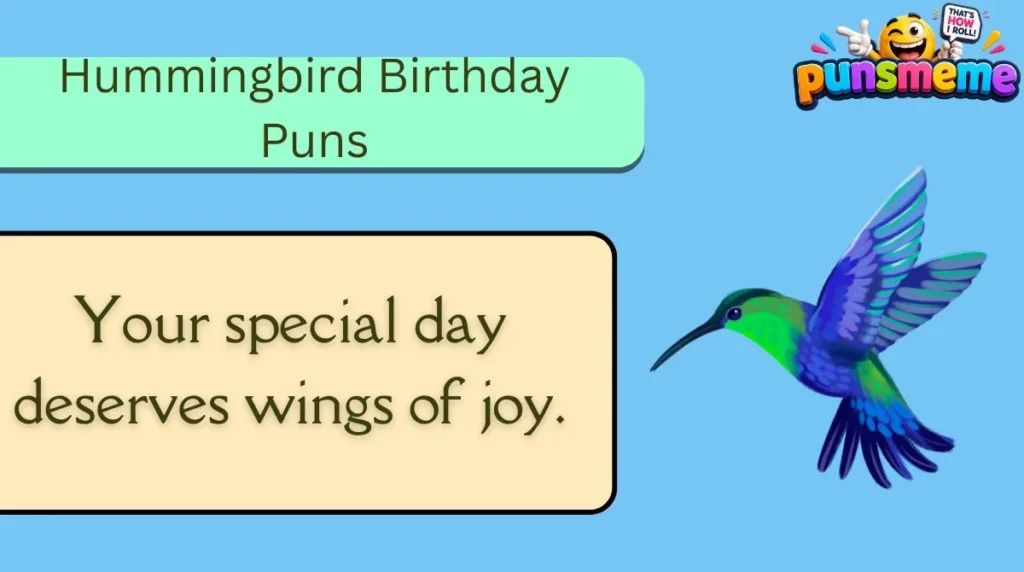 Hummingbird Birthday Puns