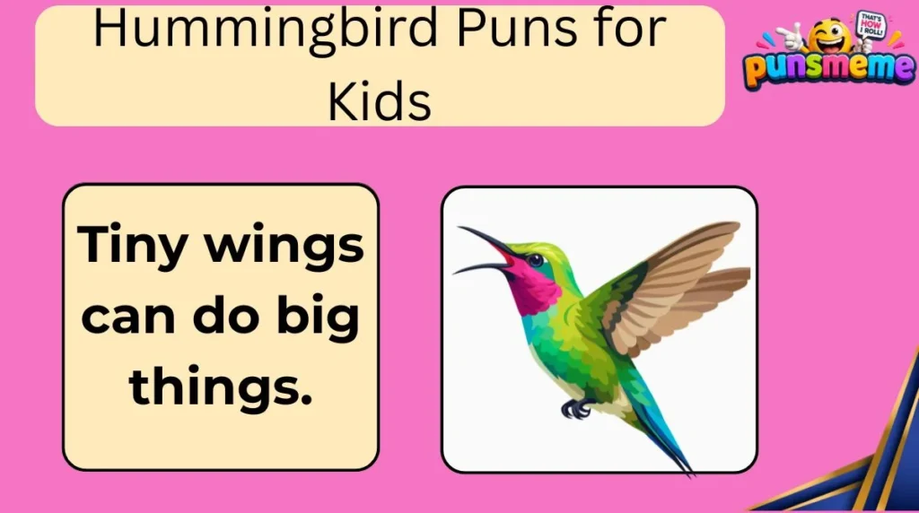 Hummingbird Puns for Kids