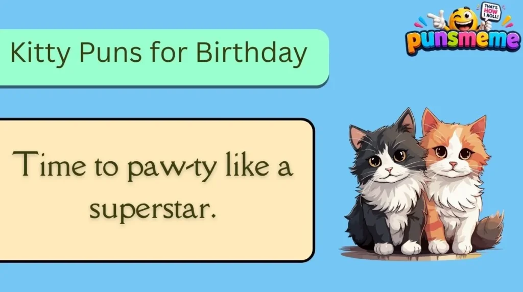 Kitty Puns for Birthday