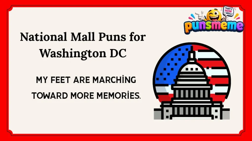 National Mall Puns for Washington DC