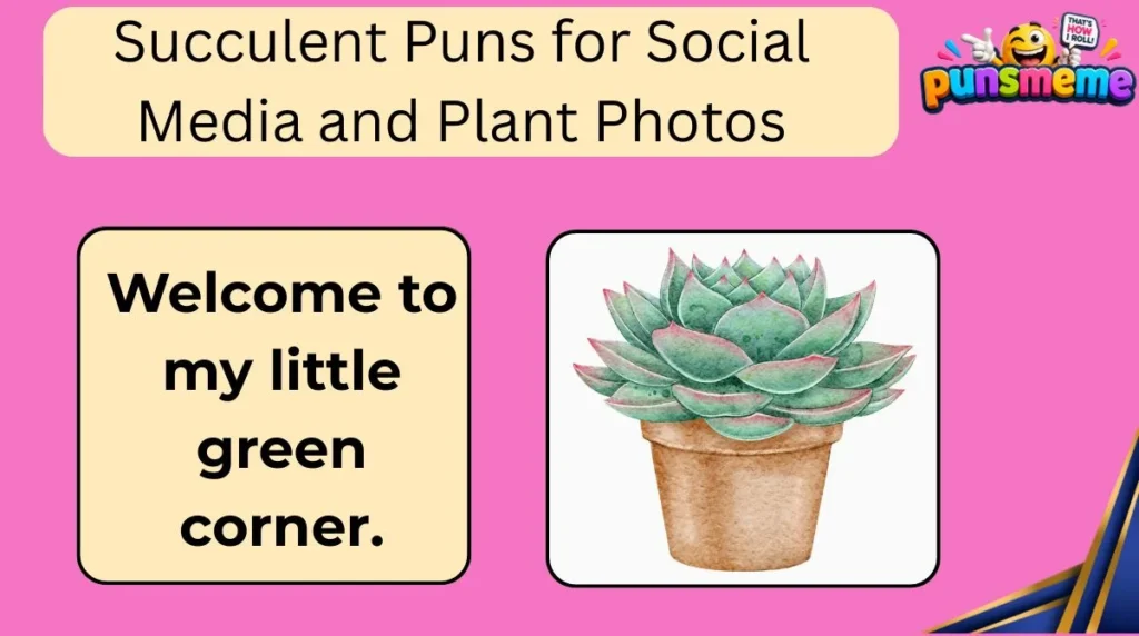 Succulent Puns for Social Media and Plant Photos