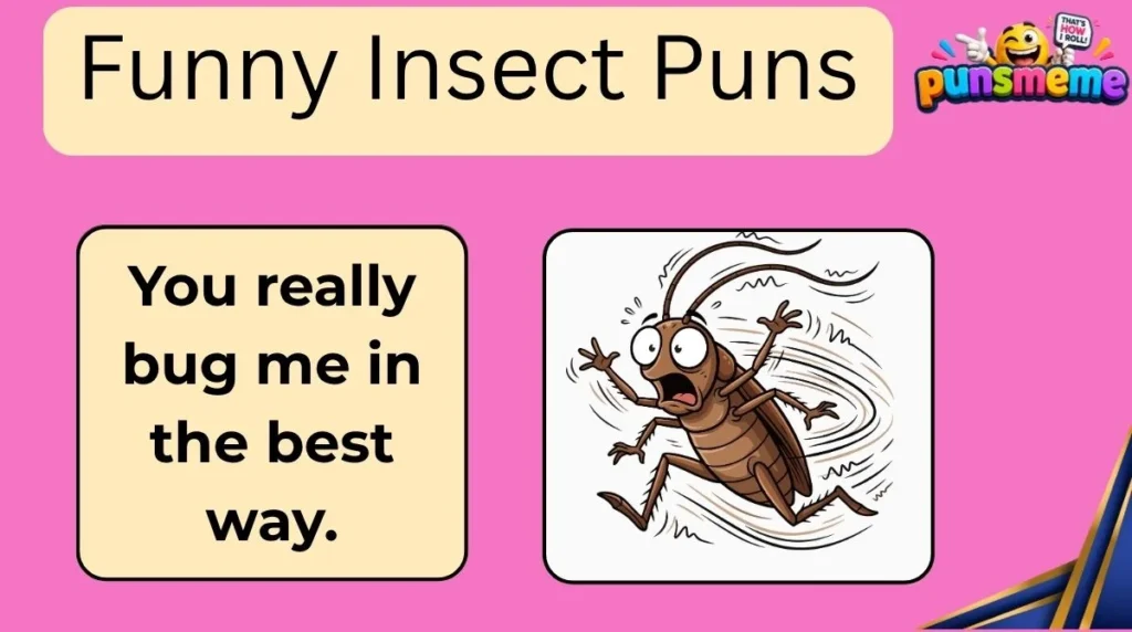 Funny Insect Puns