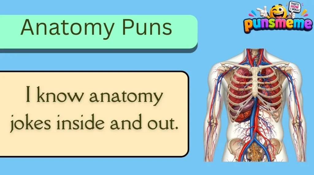 Anatomy Puns