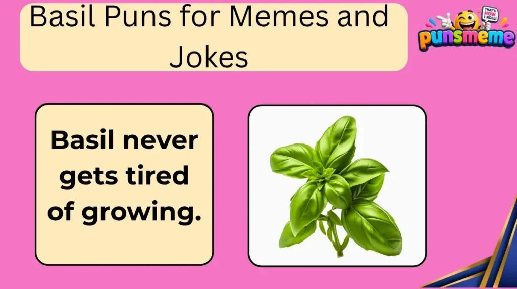 Basil Puns for Memes and Jokes
