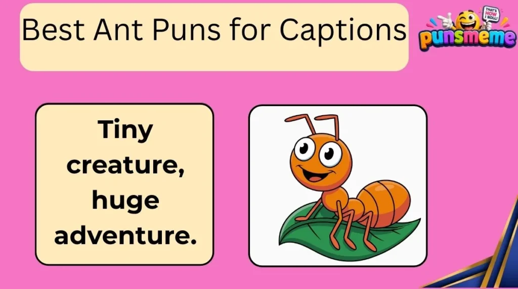 Best Ant Puns for Captions