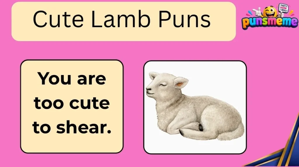 Cute Lamb Puns