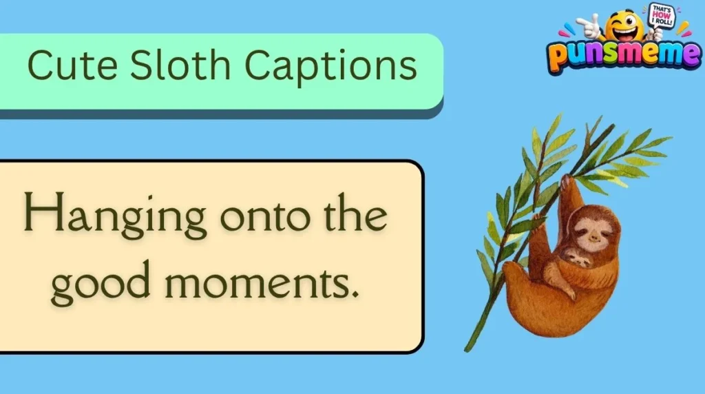 Cute Sloth Captions