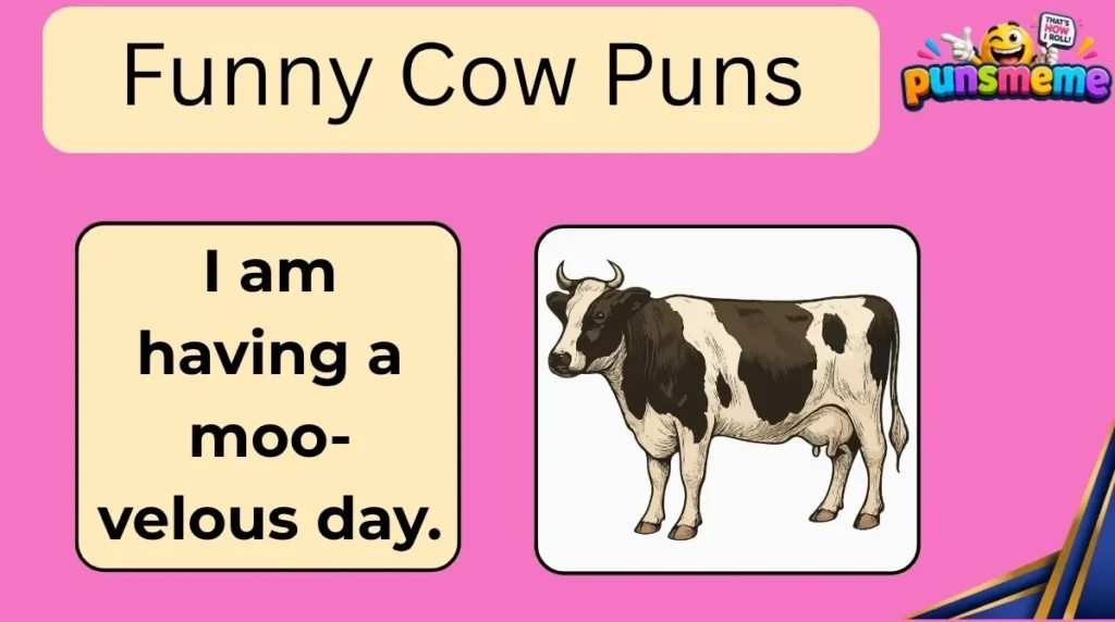 Funny Cow Puns