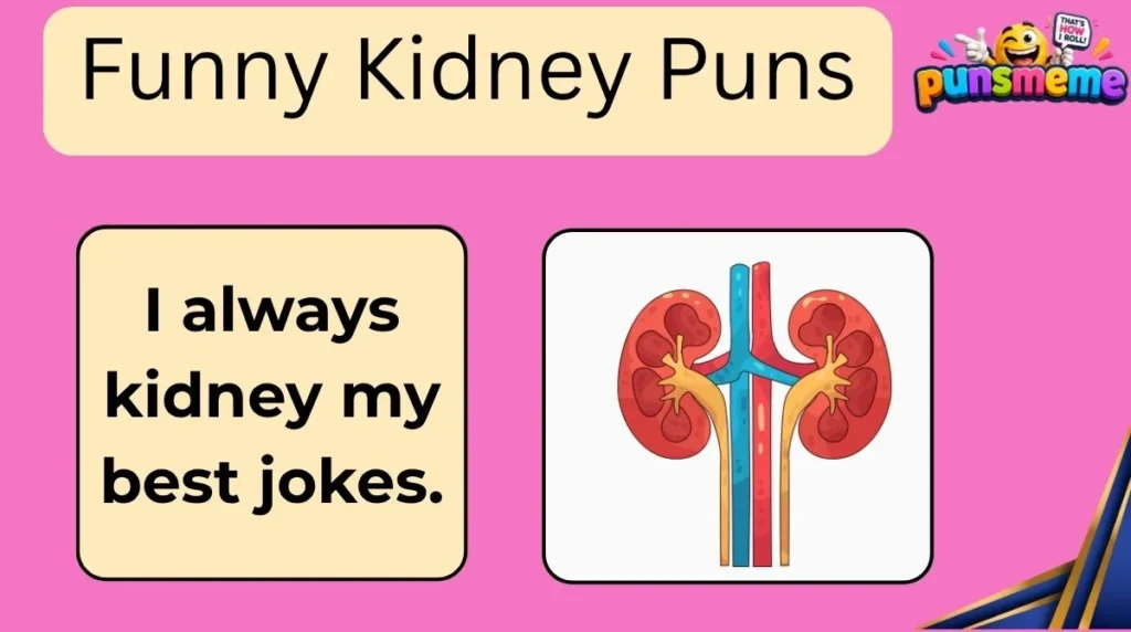Funny Kidney Puns