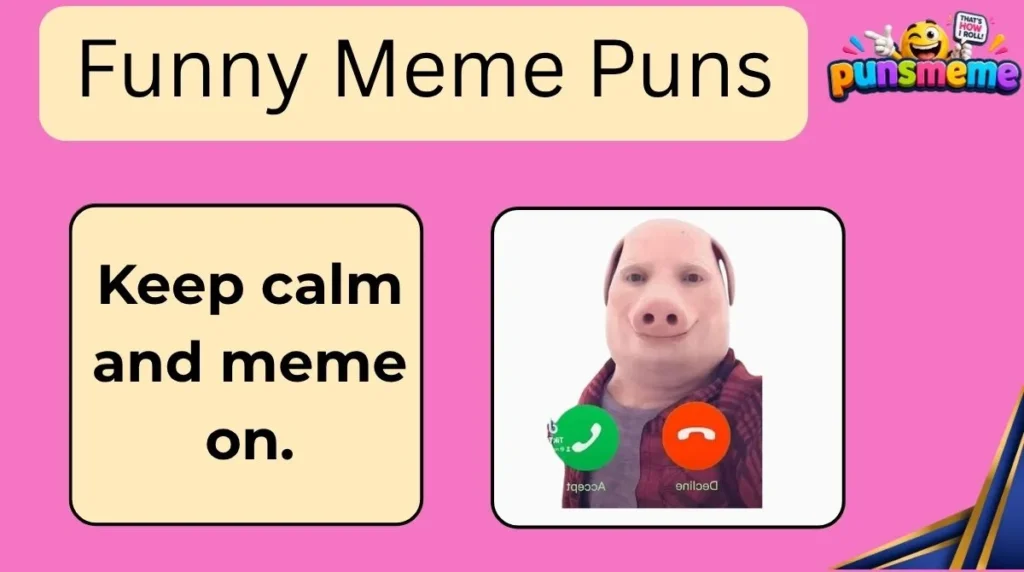 Funny Meme Puns