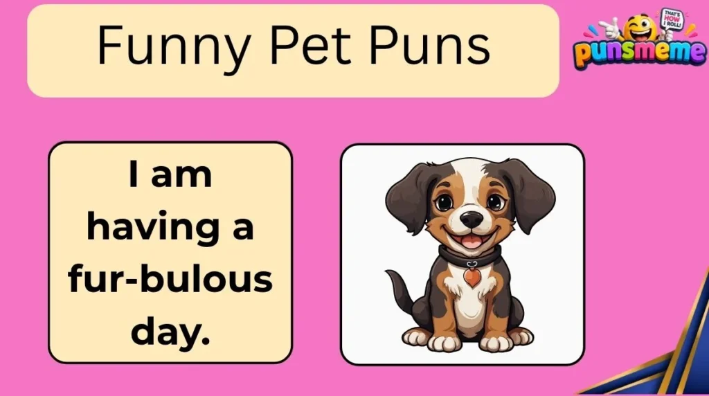 Funny Pet Puns