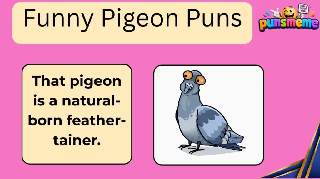 Funny Pigeon Puns