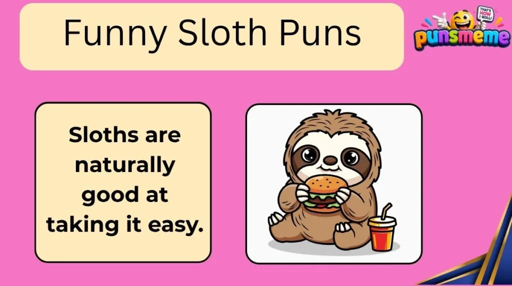 Funny Sloth Puns