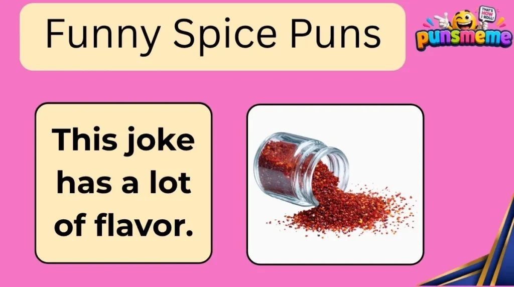 Funny Spice Puns