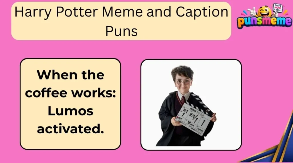 Harry Potter Meme and Caption Puns