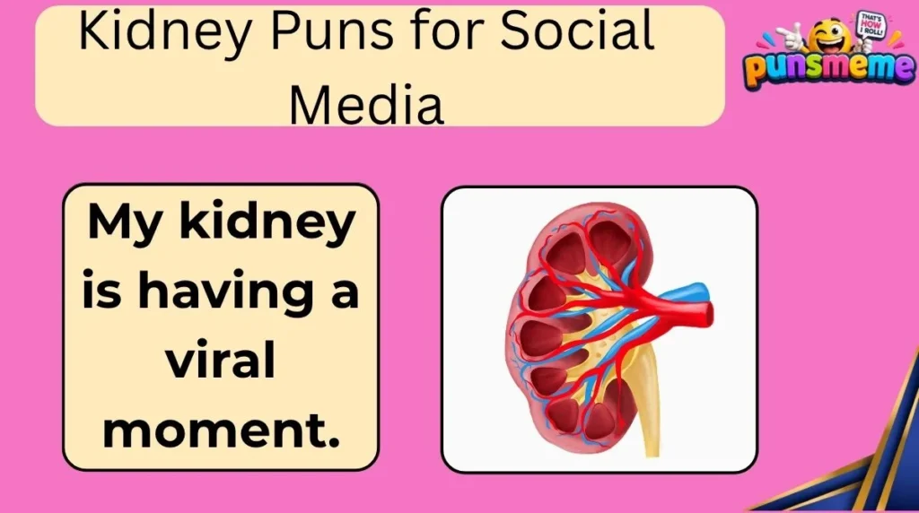 Kidney Puns for Social Media