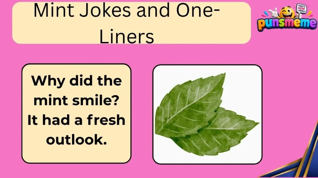 Mint Jokes and One-Liners