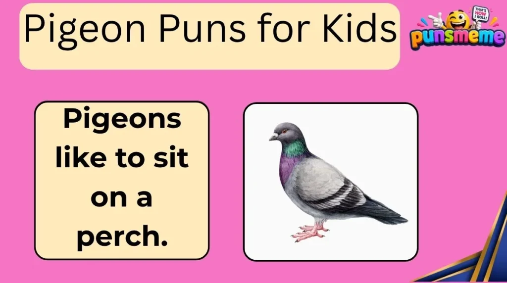 Pigeon Puns for Kids