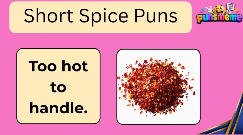 Short Spice Puns