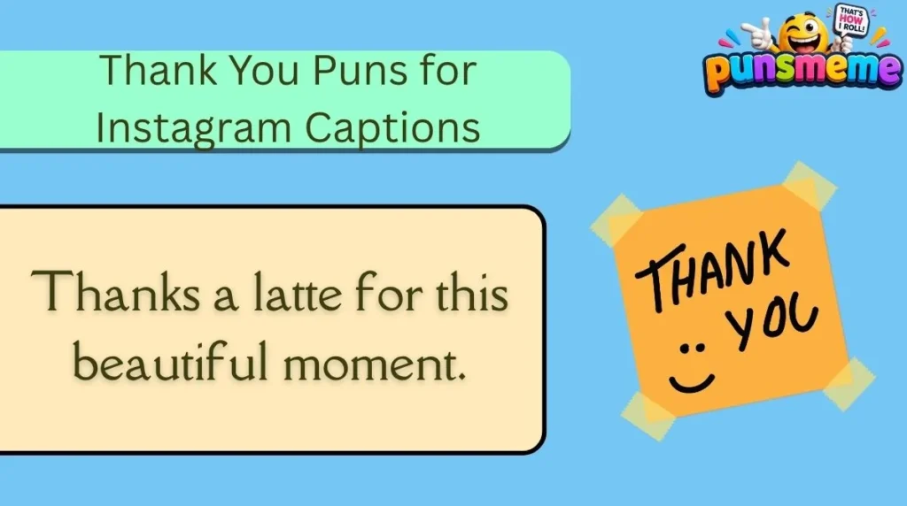 Thank You Puns for Instagram Captions