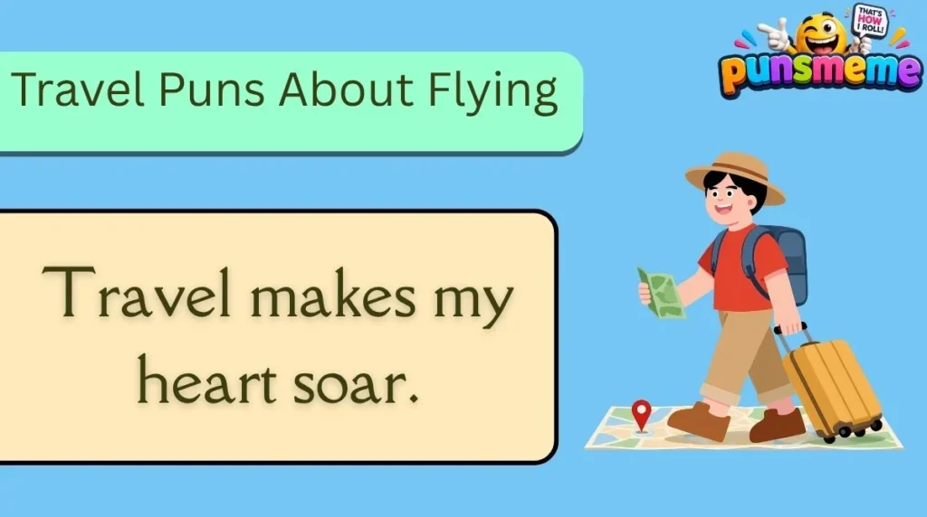Travel Puns About Flying