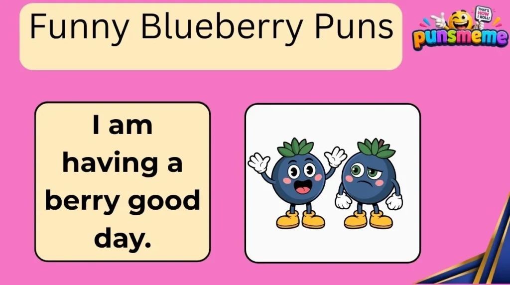 Funny Blueberry Puns