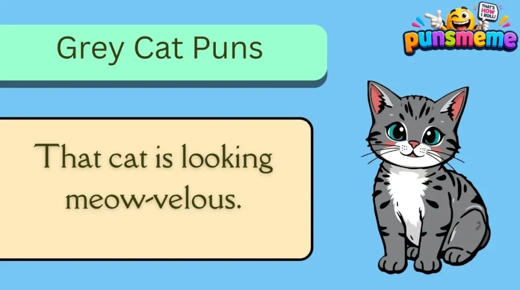 Grey Cat Puns
