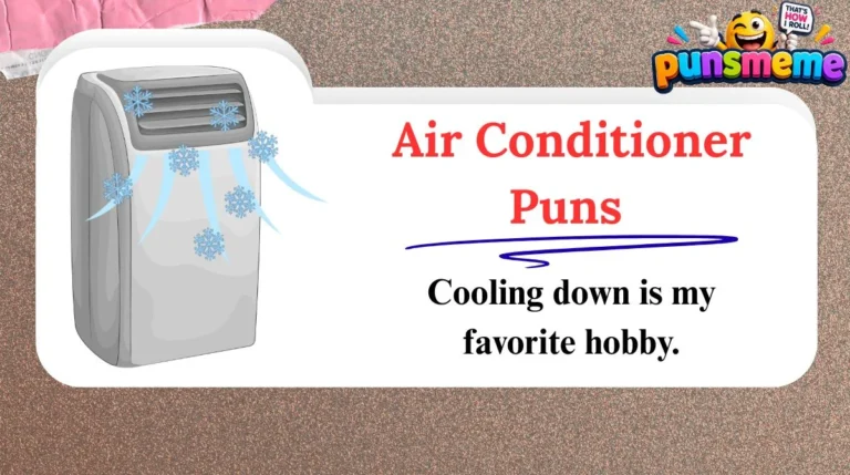 Air Conditioner Puns
