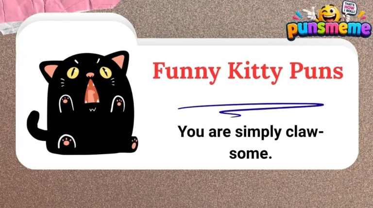 Funny Kitty Puns