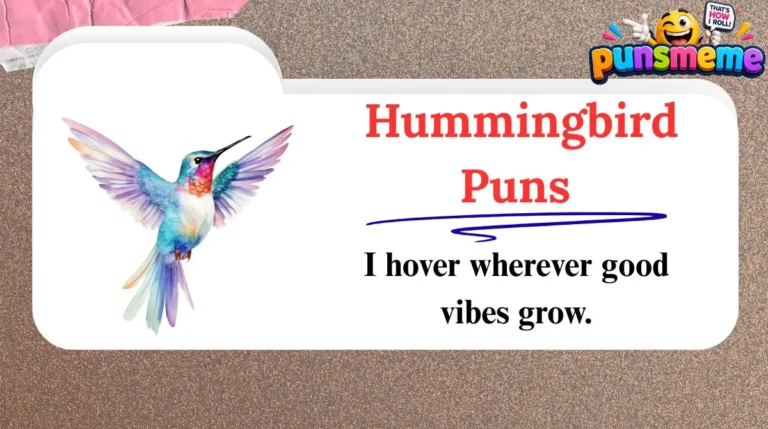Hummingbird Puns