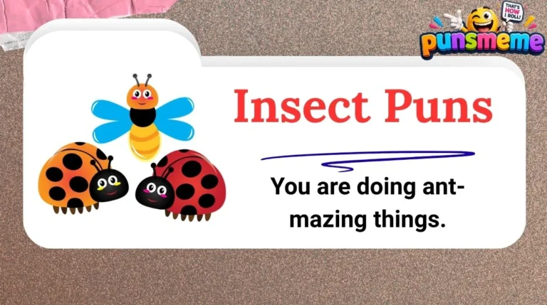 Insect Puns