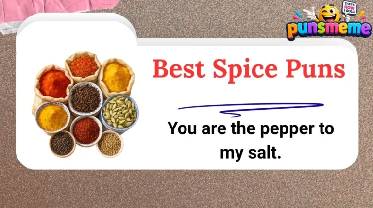Best Spice Puns