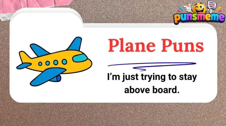 Plane Puns