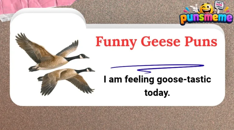 Funny Geese Puns